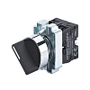 Переключатель NP2-BD23, 2 положения фиксацией, 2НО, IP40 (R)